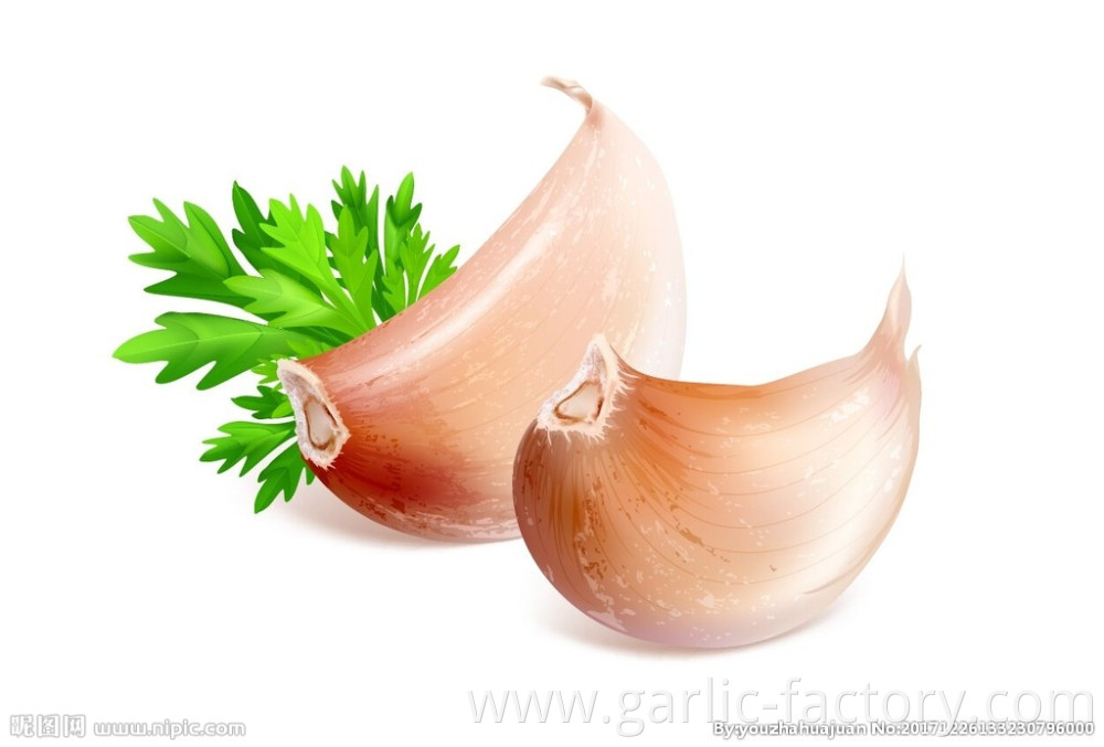 Wholesale New Crop Fresh Garlic price